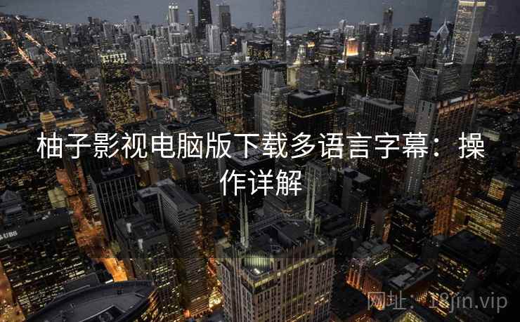 柚子影视电脑版下载多语言字幕：操作详解