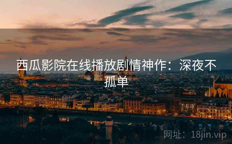 西瓜影院在线播放剧情神作：深夜不孤单