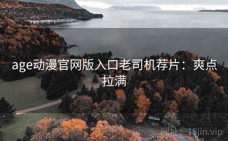age动漫官网版入口老司机荐片：爽点拉满